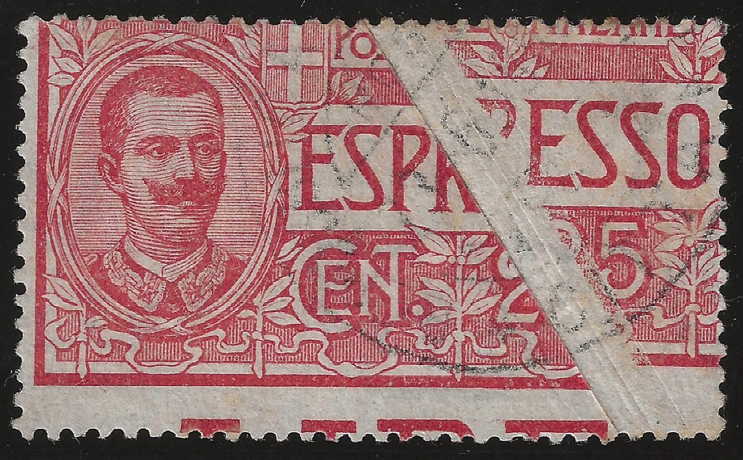 1903 Regno d'Italia - Francobollo per Espresso da 25 c. con vistosa mancanza di stampa usato