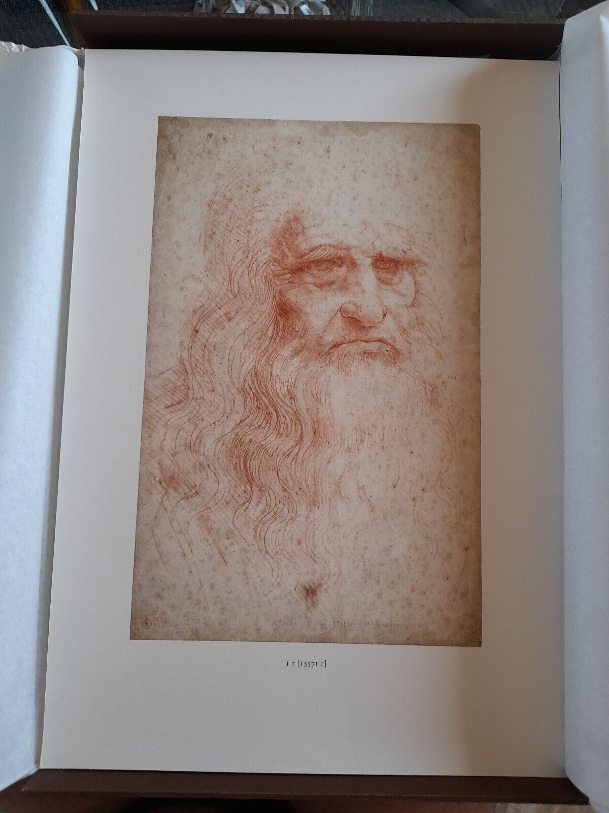 I Disegni di Leonardo Da Vinci e della Sua Cerchia - La Biblioteca Reale di Torino (G. Barbera)