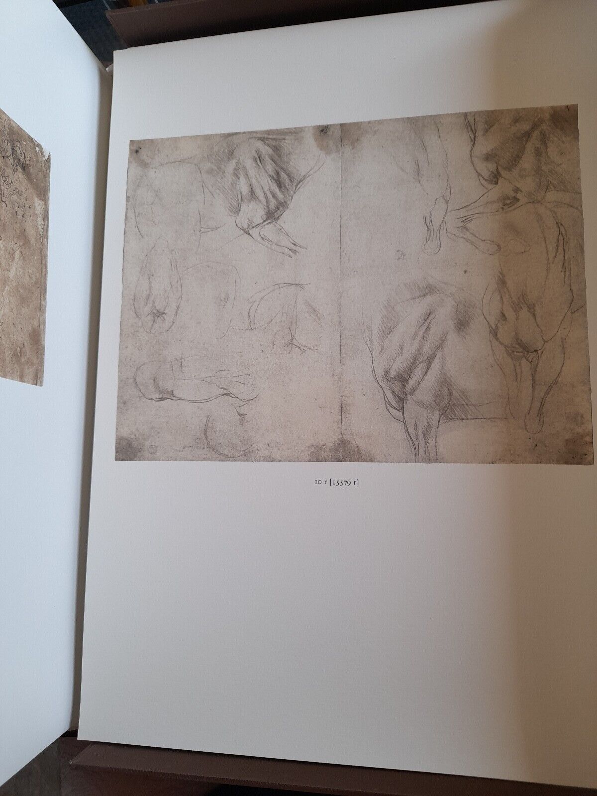 I Disegni di Leonardo Da Vinci e della Sua Cerchia - La Biblioteca Reale di Torino (G. Barbera)