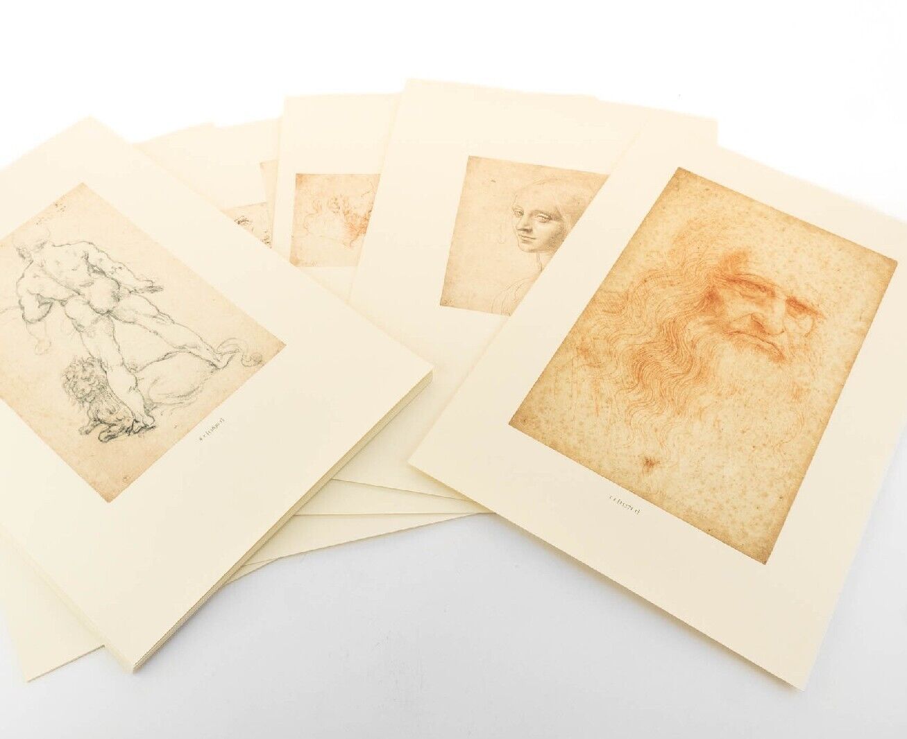 I Disegni di Leonardo Da Vinci e della Sua Cerchia - La Biblioteca Reale di Torino (G. Barbera)