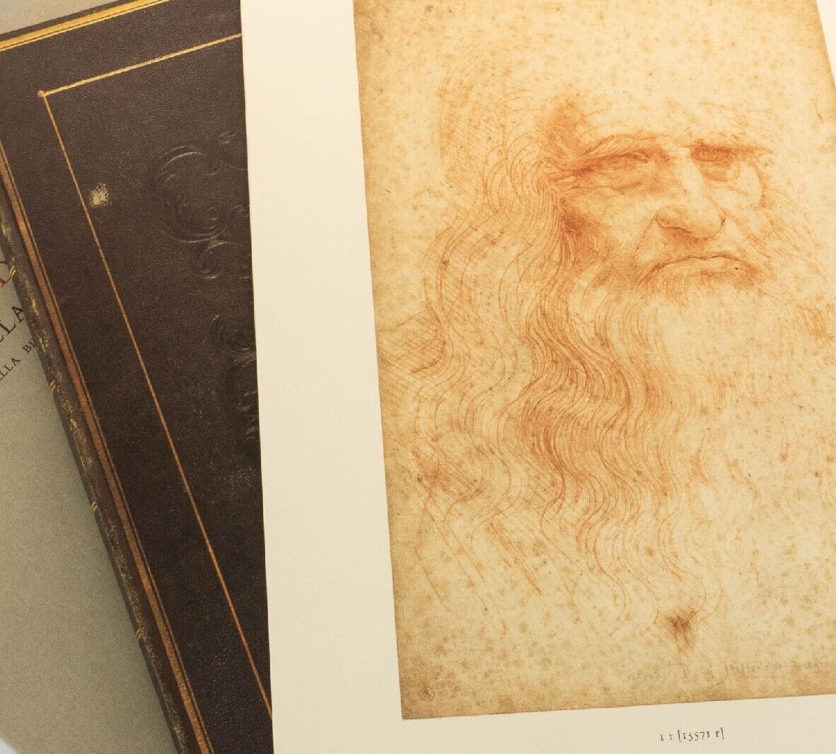 I Disegni di Leonardo Da Vinci e della Sua Cerchia - La Biblioteca Reale di Torino (G. Barbera)