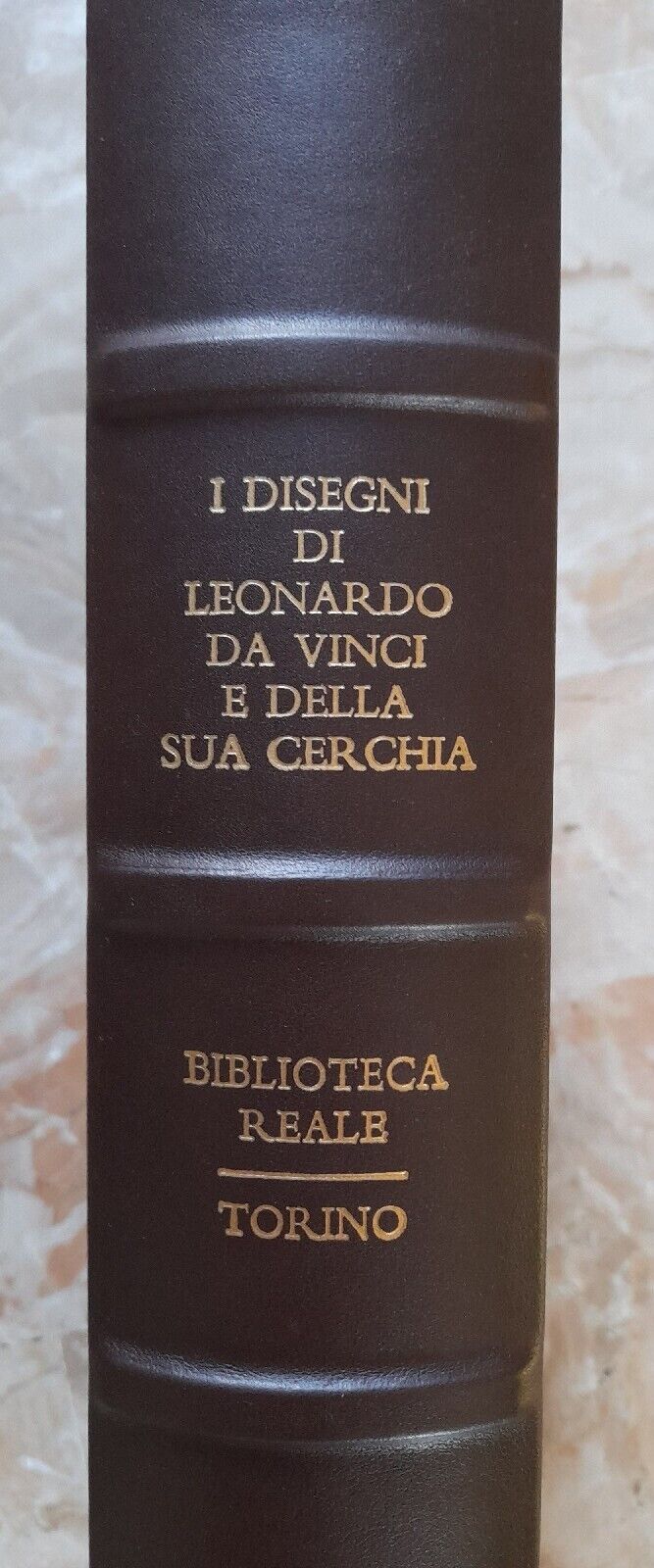 I Disegni di Leonardo Da Vinci e della Sua Cerchia - La Biblioteca Reale di Torino (G. Barbera)