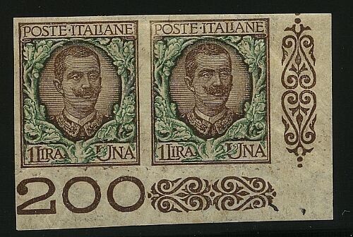 1901 Regno d'Italia - Coppia 1 L. Floreale non dentellata angolo di foglio MH*