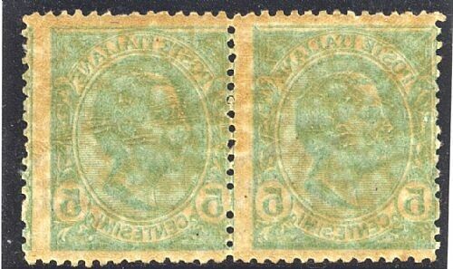 1906 Regno d'Italia - 5 cent. tipo Leoni coppia con decalco MNH**