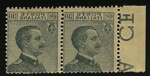 1925 Regno d'Italia - Michetti 30 cent. grigio in coppia con decalco MNH**