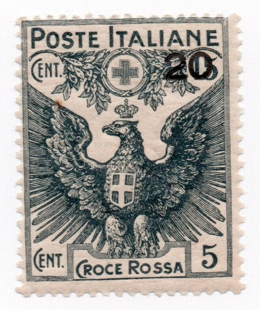 1915 - Regno d'Italia - Pro Croce Rossa italiana - 20 su 15 c. nero MNH