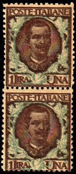 1901 Regno d'Italia - Floreale 1 L. doppia stampa del bruno in coppia vert. MH*