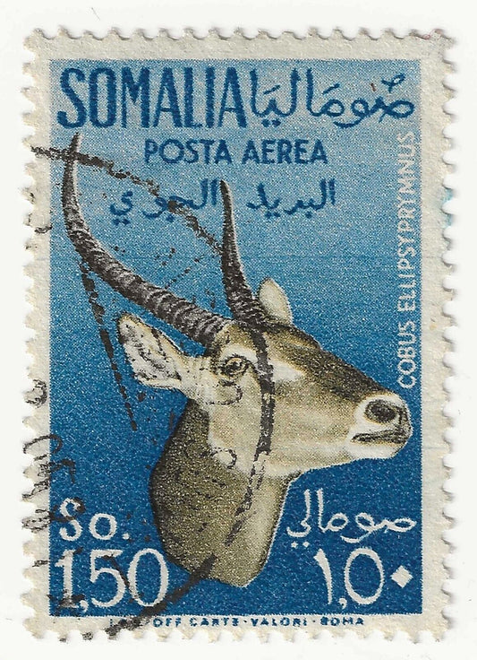 1955 Somalia A.F.I.S. (Colonie) - 1,50 azzurro serie Animali usato