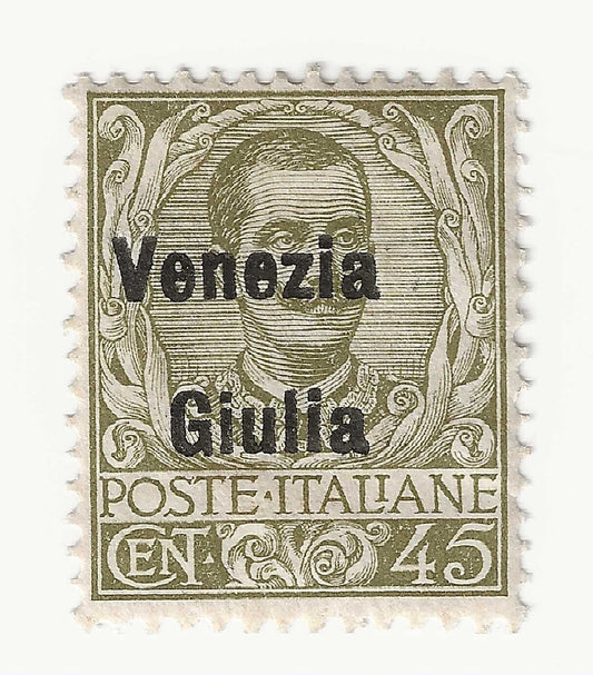 1918 Regno d'Italia (Venezia Giulia) - 45 cent. oliva soprastampato MH*